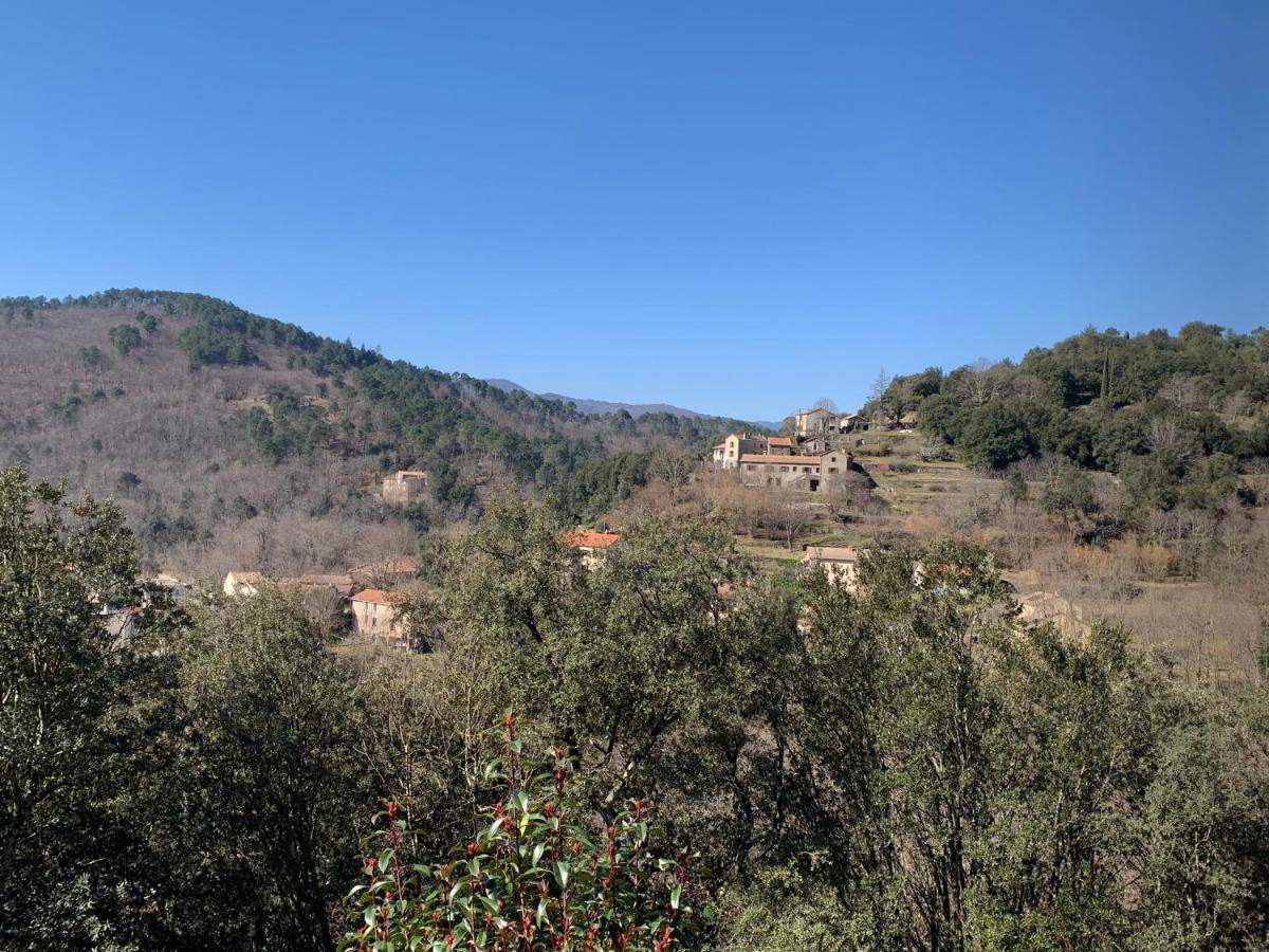 Le Collet-de-Dèze Villa Des Taillades מראה חיצוני תמונה