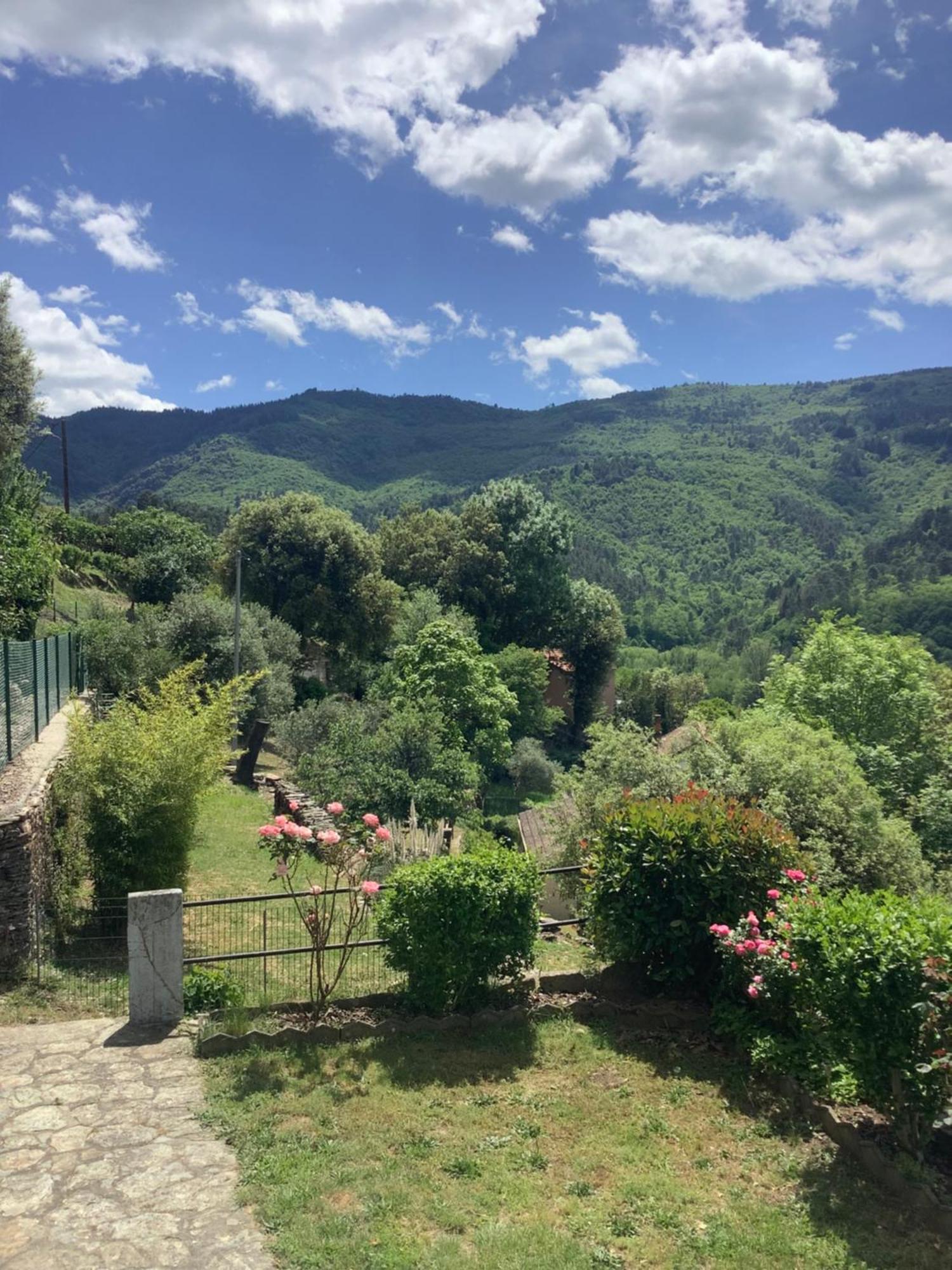 Le Collet-de-Dèze Villa Des Taillades מראה חיצוני תמונה